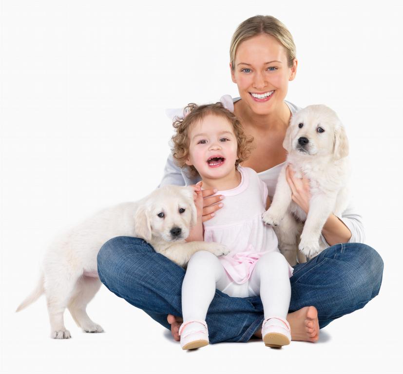 cute kid and lab puppies and mom from dolores animal hospital in